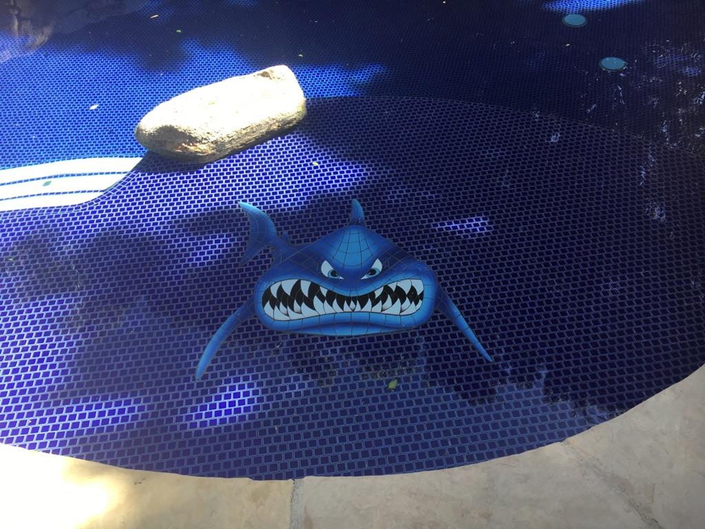 In Your Face Shark Porcelain Pool Mosaic