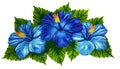 Hibiscus Trio Glass Pool Mosaic