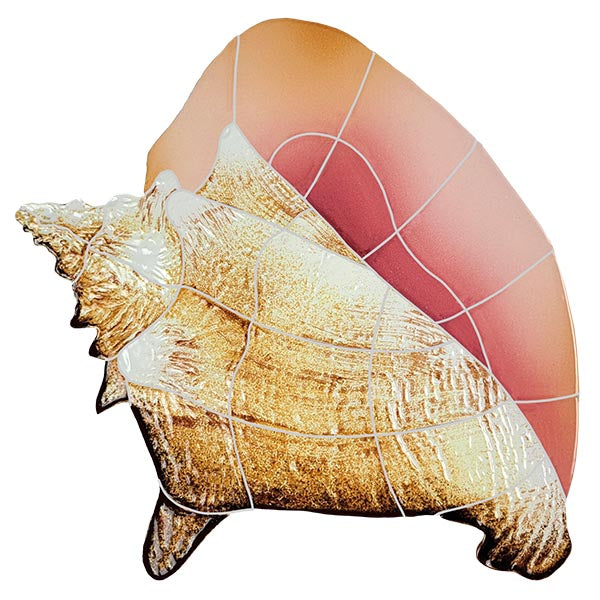 Conch Shell Porcelain Pool Mosaic