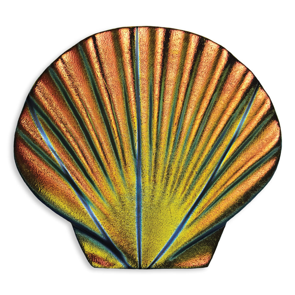 Fusion Seashell Iridescent Pool Accent – Rainbow