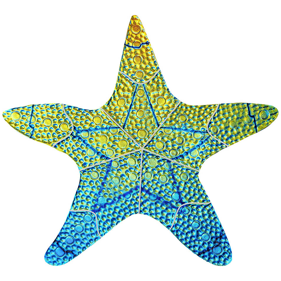 Fusion Starfish Iridescent Pool Accent – Rainbow / 10"