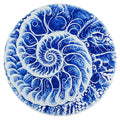 Nautilus Glass Pool Mosaic