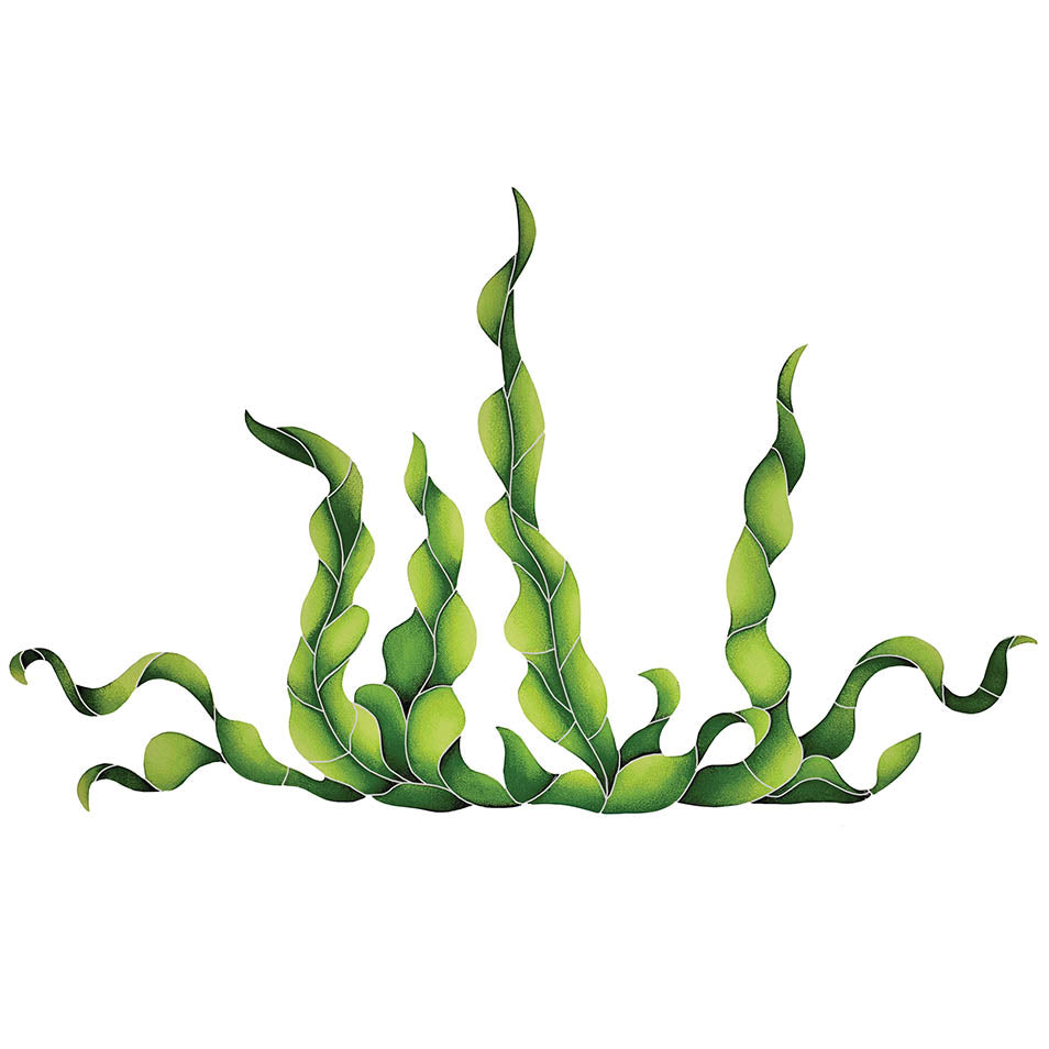 Seaweed Porcelain Pool Mosaic – 24" x 40"