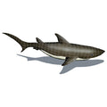 Shark with Shadow Porcelain Pool Mosaic