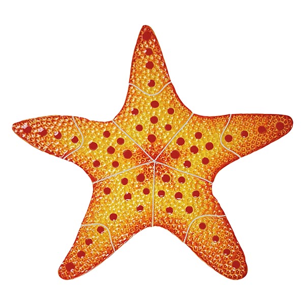 Starfish Porcelain Pool Mosaic – Red / 10"