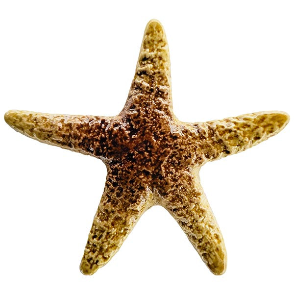 Starfish Porcelain Pool Mosaic – Tan / 5"